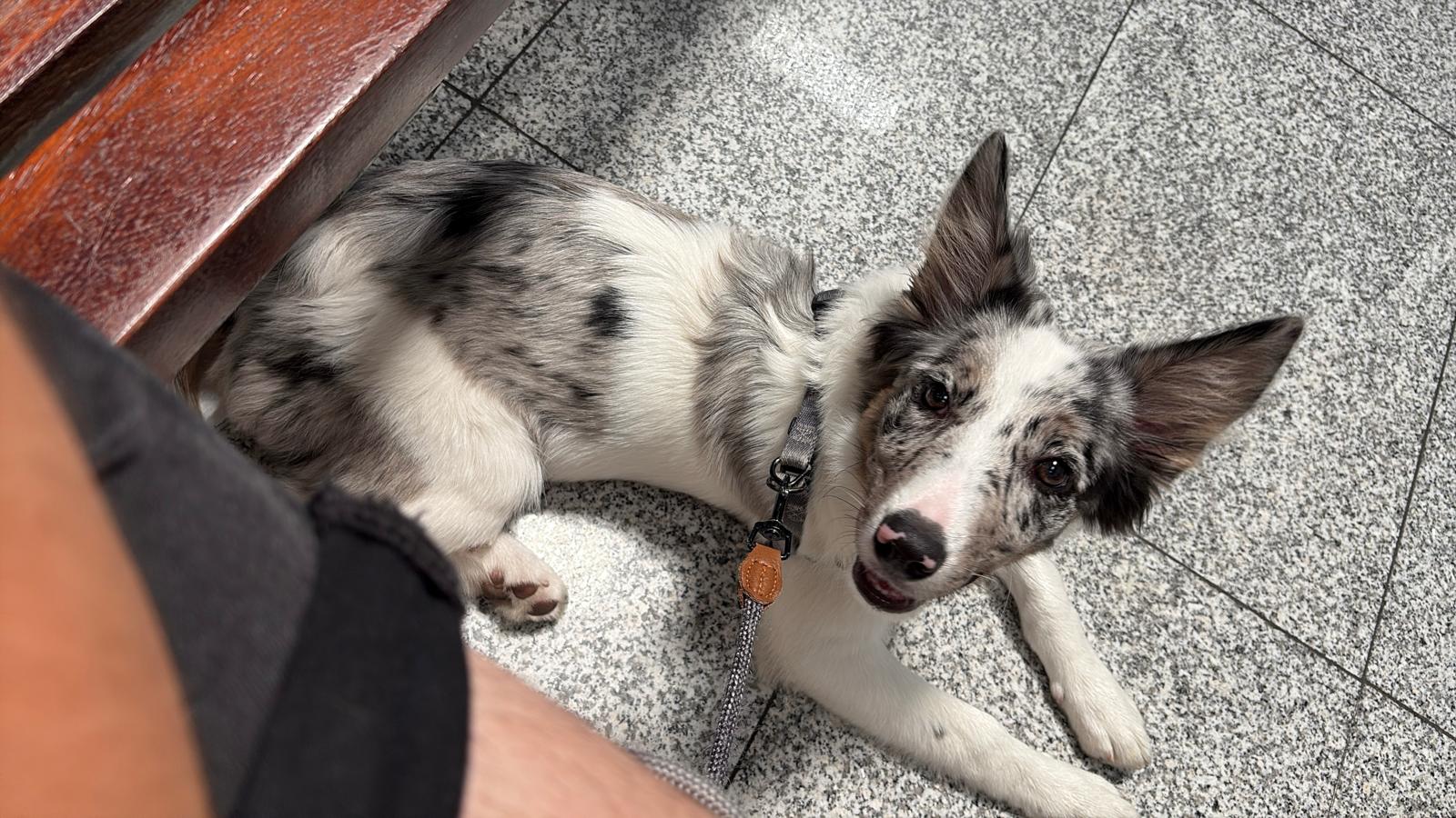 whatsapp image 2026 02 01 at 10.08.13 (3)