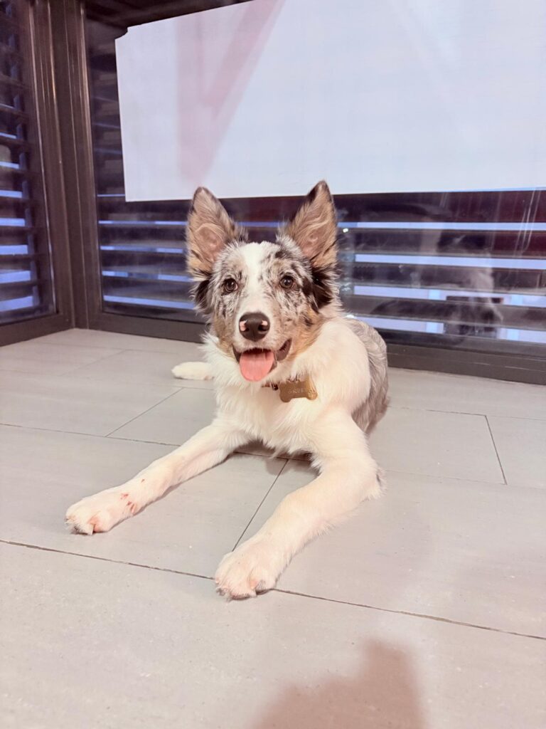 whatsapp image 2026 02 01 at 10.08.13 (4)