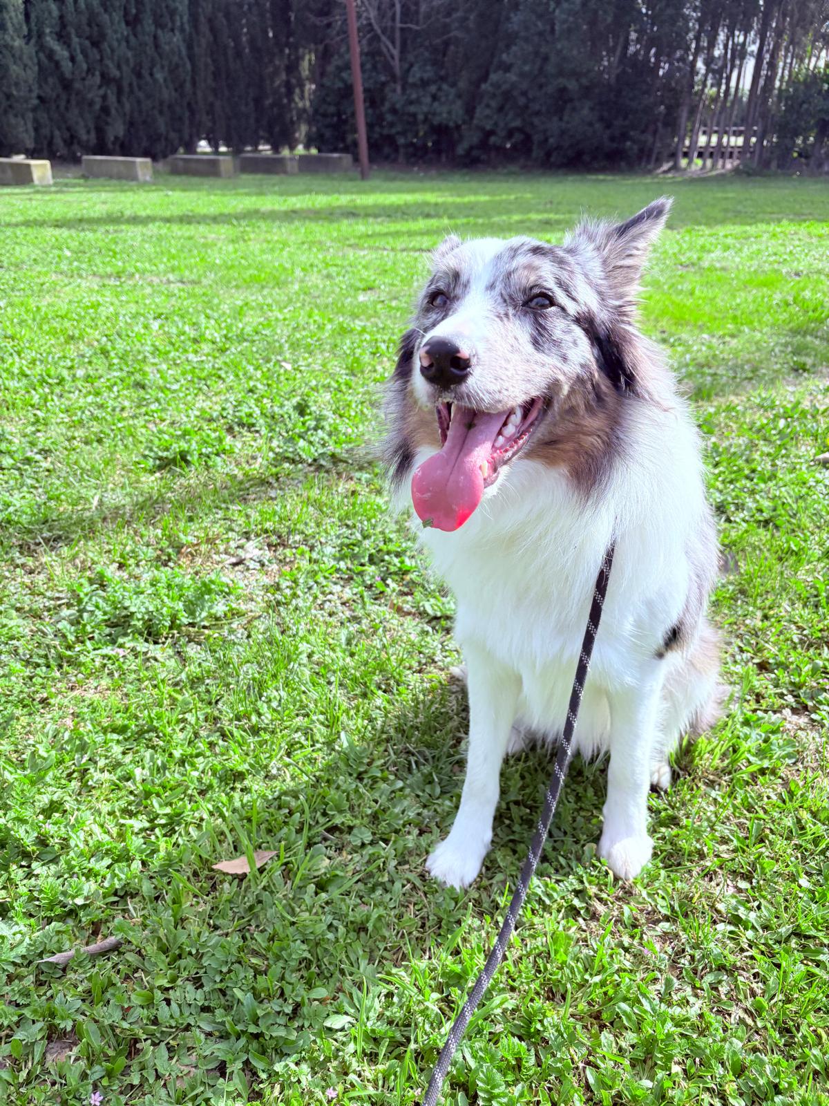 whatsapp image 2026 02 12 at 16.37.41